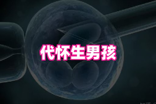 天津助孕网站 2